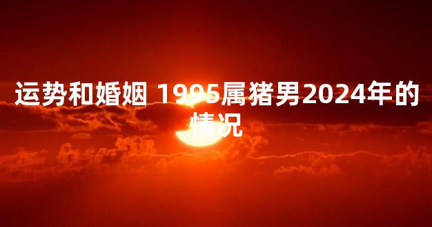 运势和婚姻 1995属猪男2024年的情况